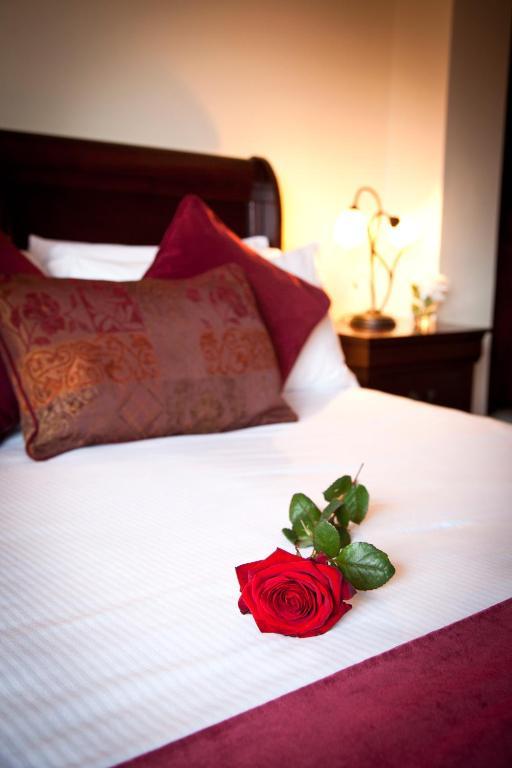 Aherlow House Hotel & Lodges Habitación foto